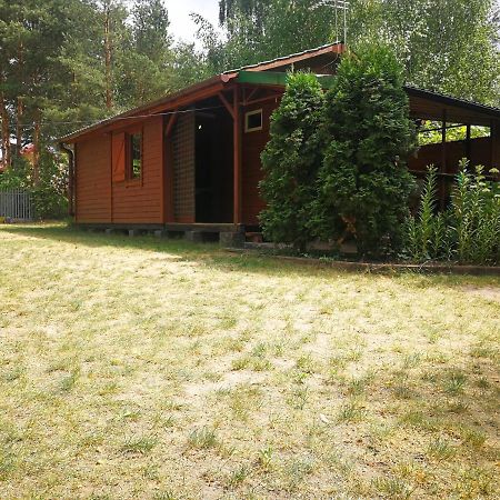 Domki Domek Na Jeziorem Wilczynskim Budzislawskim , Las, Osobno Ogrodzony 2-6 Osob- Klimatyzacja, Ogrzewanie, 62-550 Zygmuntowo Gm Wilczyn Eksteriør billede