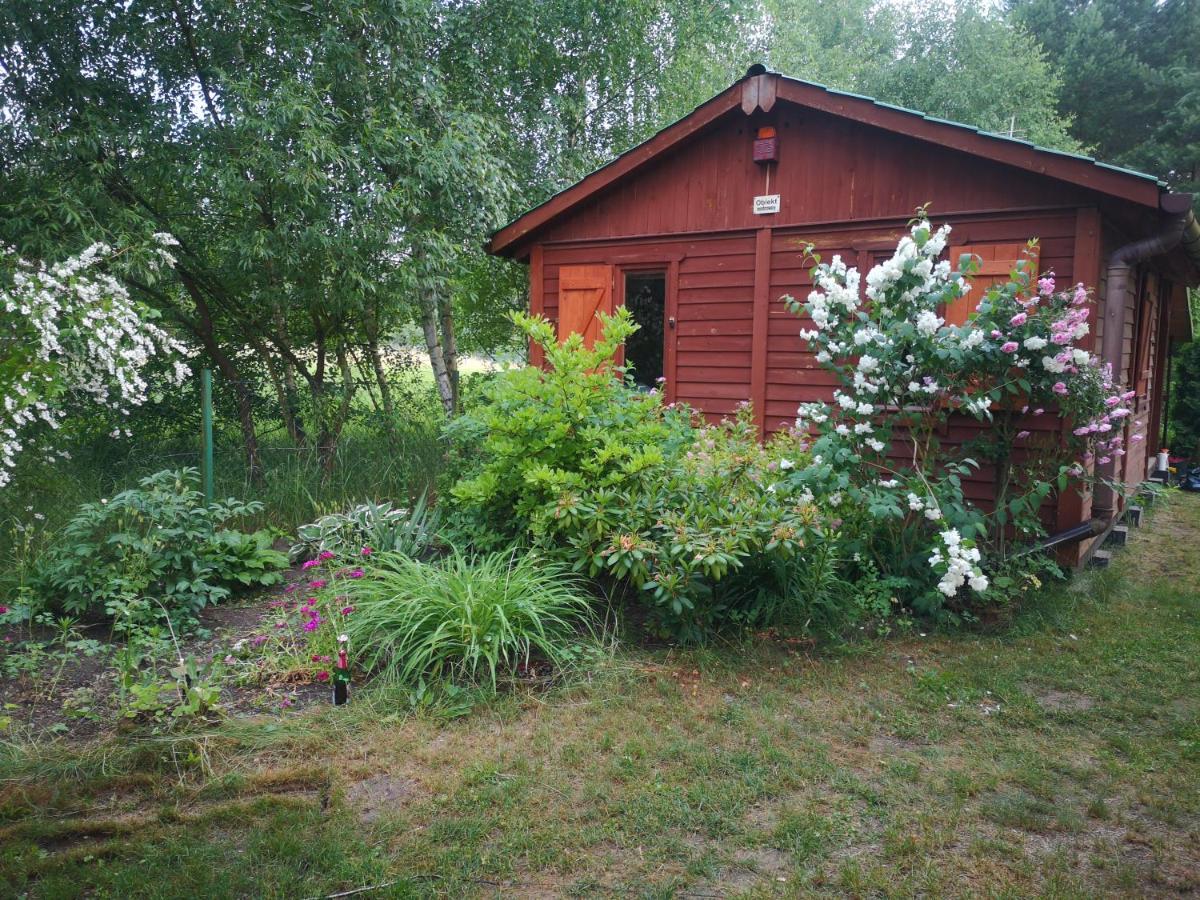Domki Domek Na Jeziorem Wilczynskim Budzislawskim , Las, Osobno Ogrodzony 2-6 Osob- Klimatyzacja, Ogrzewanie, 62-550 Zygmuntowo Gm Wilczyn Eksteriør billede