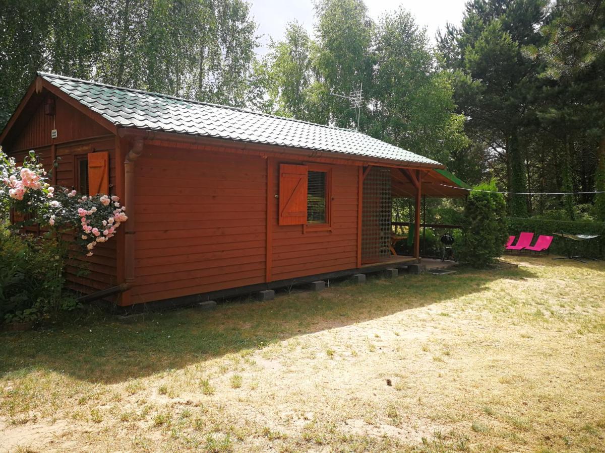 Domki Domek Na Jeziorem Wilczynskim Budzislawskim , Las, Osobno Ogrodzony 2-6 Osob- Klimatyzacja, Ogrzewanie, 62-550 Zygmuntowo Gm Wilczyn Eksteriør billede