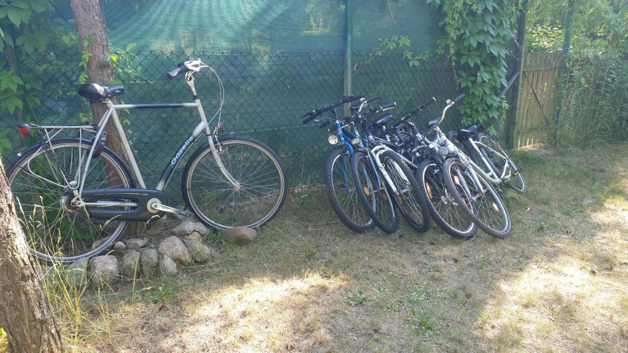 Domki Domek Na Jeziorem Wilczynskim Budzislawskim , Las, Osobno Ogrodzony 2-6 Osob- Klimatyzacja, Ogrzewanie, 62-550 Zygmuntowo Gm Wilczyn Eksteriør billede