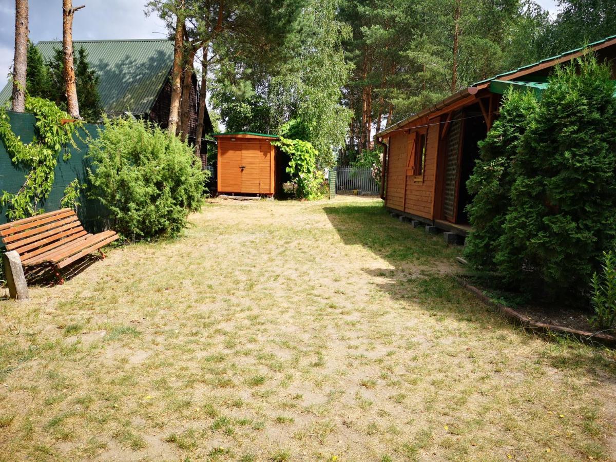 Domki Domek Na Jeziorem Wilczynskim Budzislawskim , Las, Osobno Ogrodzony 2-6 Osob- Klimatyzacja, Ogrzewanie, 62-550 Zygmuntowo Gm Wilczyn Eksteriør billede