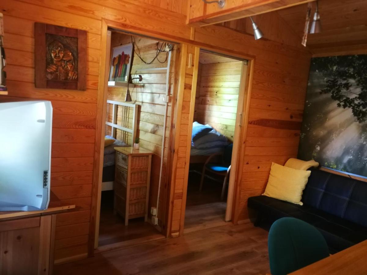 Domki Domek Na Jeziorem Wilczynskim Budzislawskim , Las, Osobno Ogrodzony 2-6 Osob- Klimatyzacja, Ogrzewanie, 62-550 Zygmuntowo Gm Wilczyn Eksteriør billede