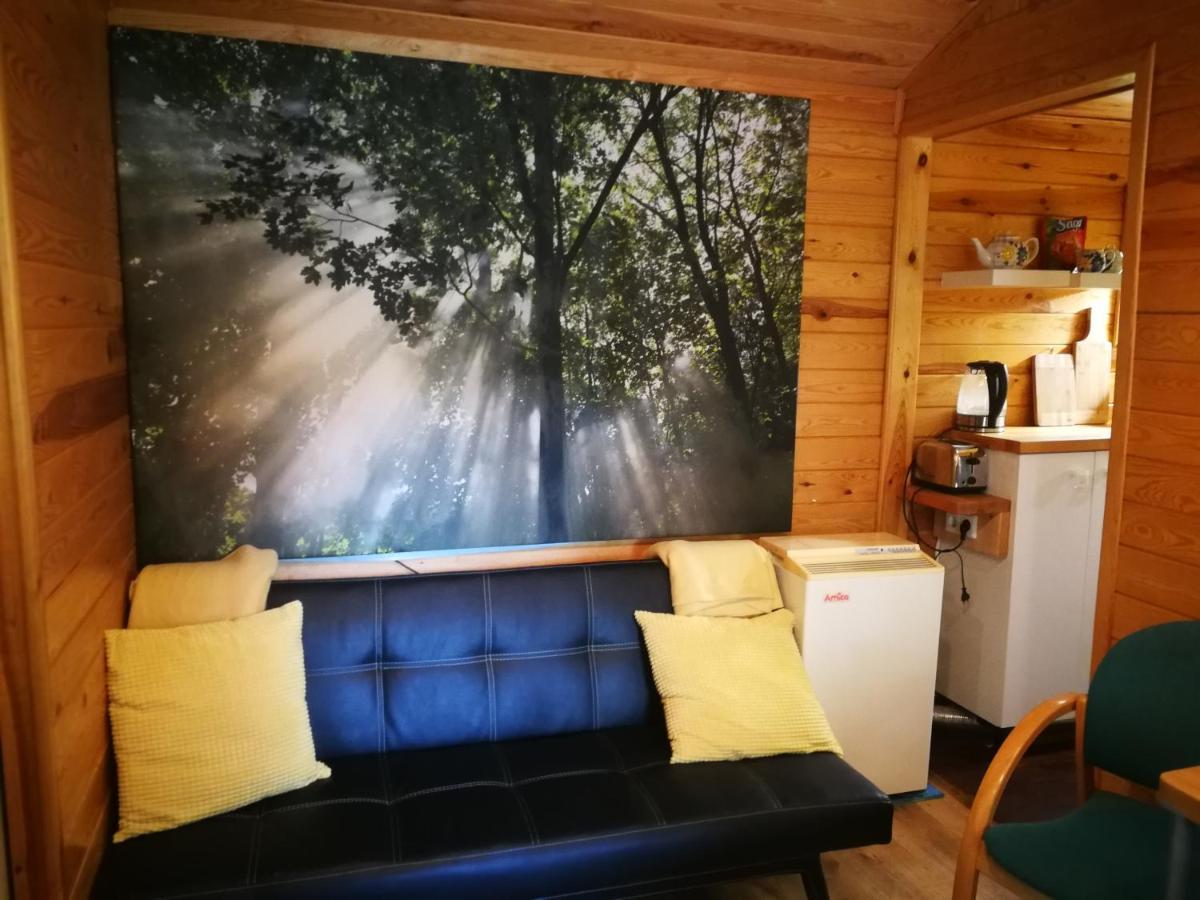 Domki Domek Na Jeziorem Wilczynskim Budzislawskim , Las, Osobno Ogrodzony 2-6 Osob- Klimatyzacja, Ogrzewanie, 62-550 Zygmuntowo Gm Wilczyn Eksteriør billede