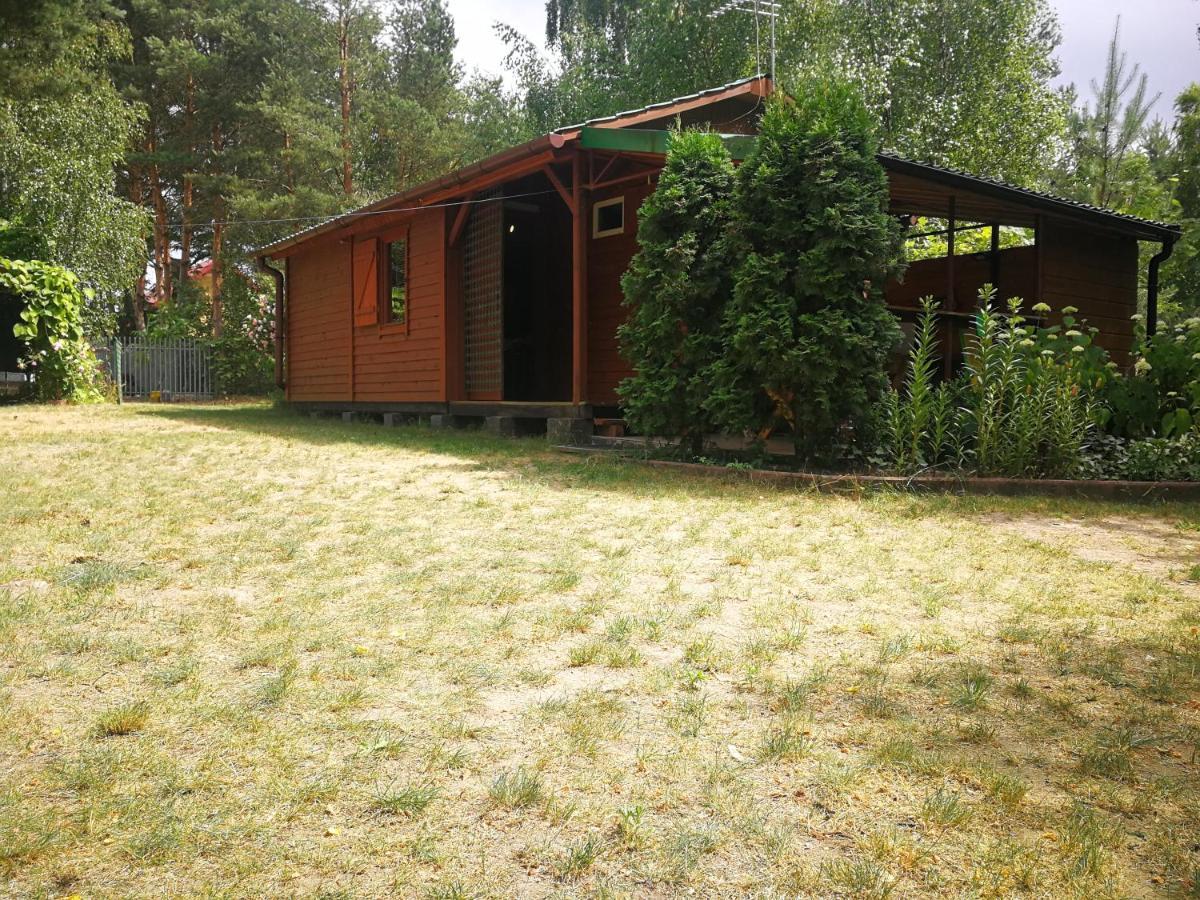 Domki Domek Na Jeziorem Wilczynskim Budzislawskim , Las, Osobno Ogrodzony 2-6 Osob- Klimatyzacja, Ogrzewanie, 62-550 Zygmuntowo Gm Wilczyn Eksteriør billede